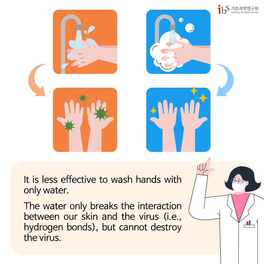 FBR_Handwashing_English_6